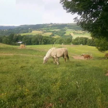 Les Truels Saint-Santin-Aveyron